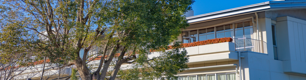 青森大学 東京キャンパス 教育